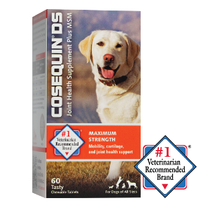 Nutramax Cosequin DS Chewables Plus MSM, 60 Count