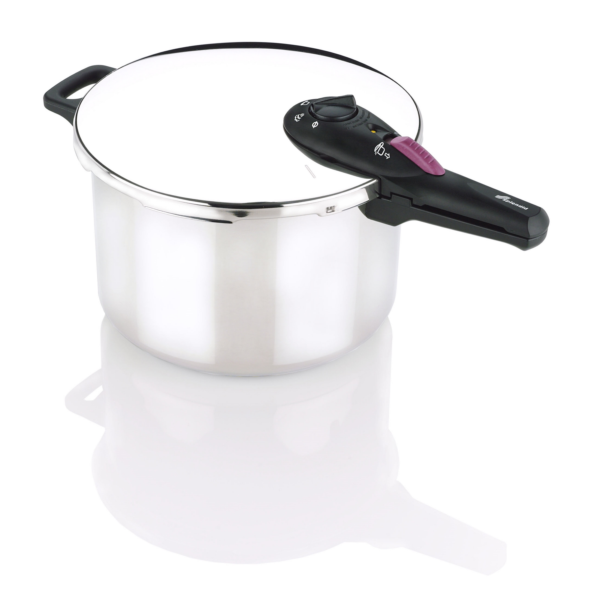 Splendid Stainless Steel 6 qt. Pressure Cooker