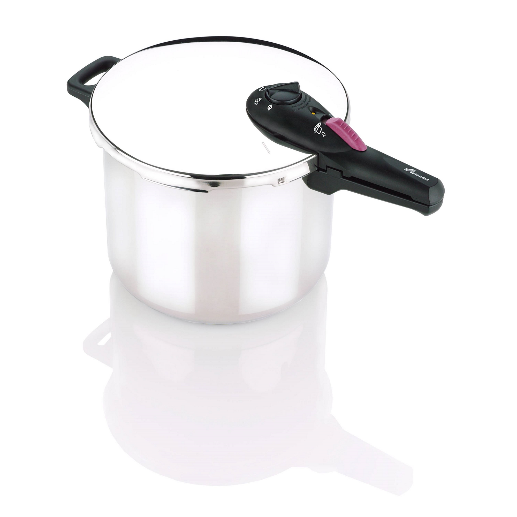 Splendid Stainless Steel 10 qt. Pressure Cooker