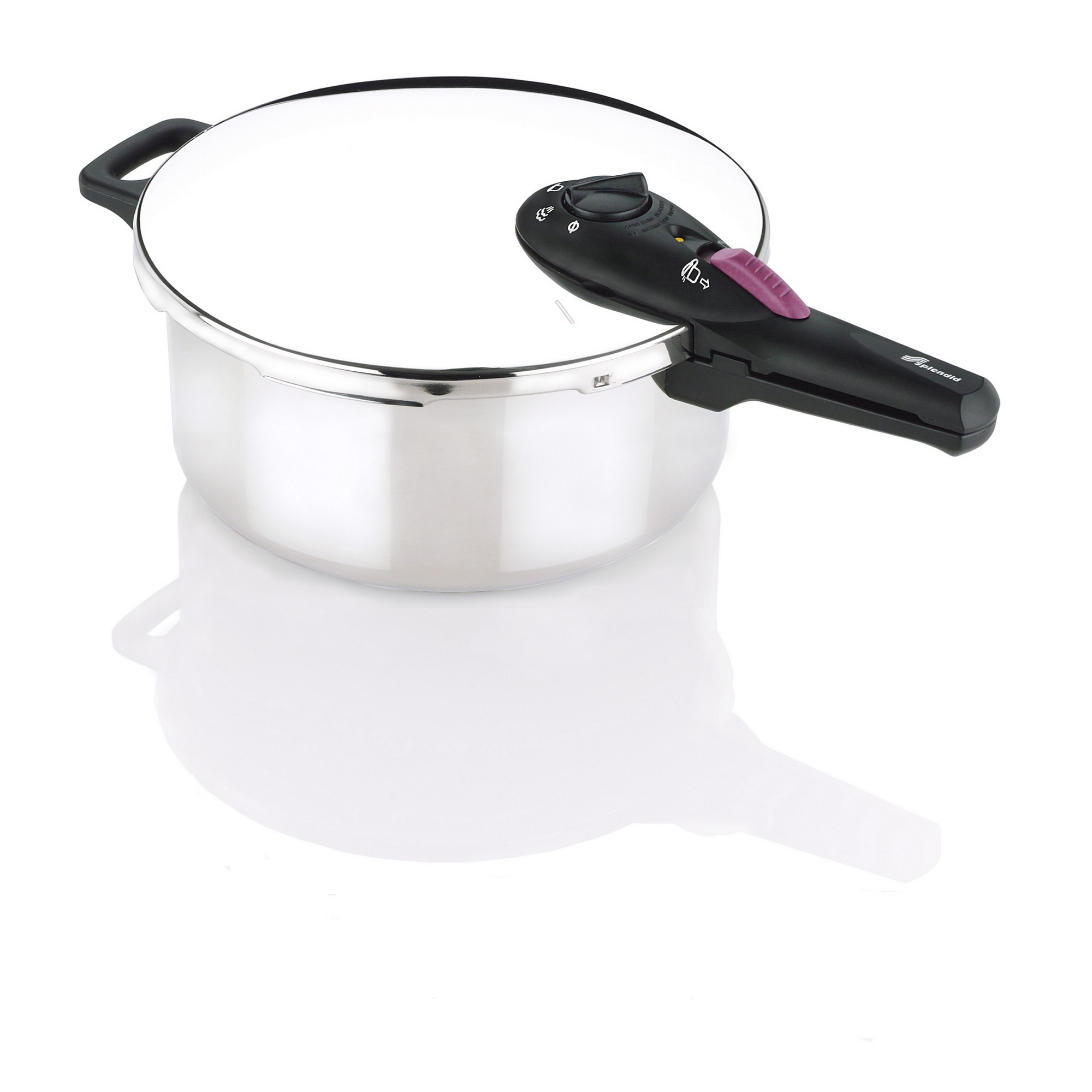 Splendid Stainless Steel 4 qt. Pressure Cooker