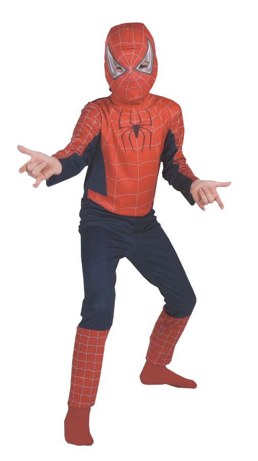 Boys Spiderman Movie Halloween Costume