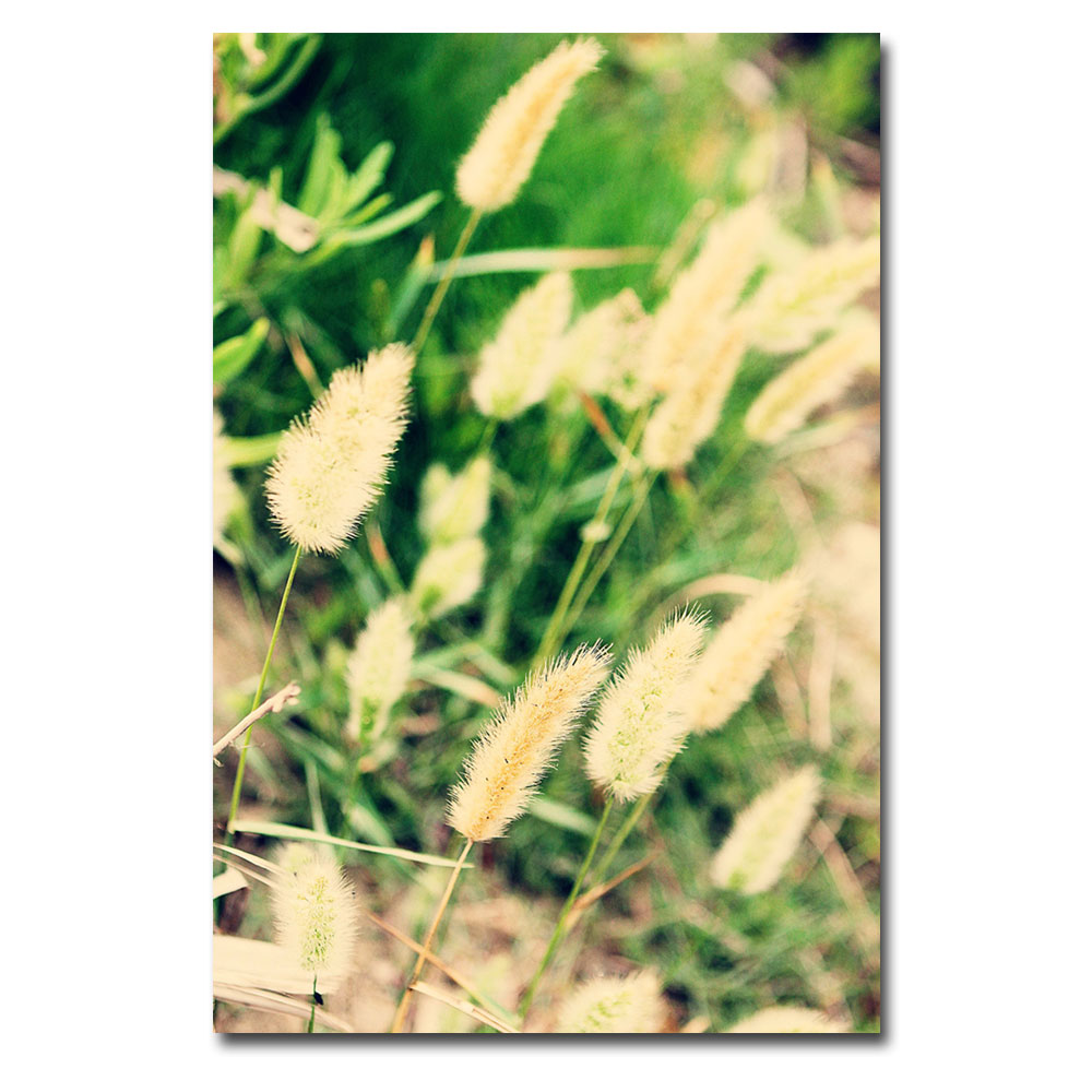 Trademark Global Ariane Moshayedi 'Beach Flowers' Canvas Art Trademark Global Ariane Moshayedi 'Beach Flowers' Canvas Art
