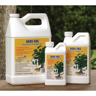 agri fos systemic fungicide monterey quart