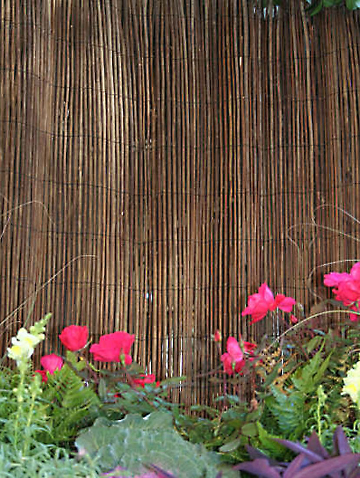 GardenPath Willow Fence 4'Hx8'L