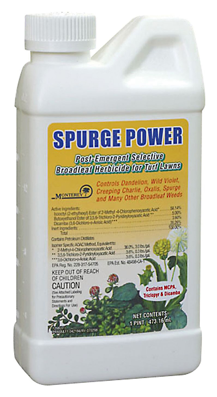 Monterey Spurge Power Oxalis Clover Dandelion Killer pint