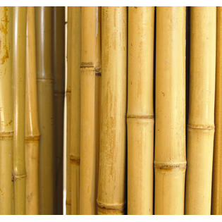 Backyard X-Scapes Rolled Bamboo Fencing -1 In. D x 6 Ft. H ...