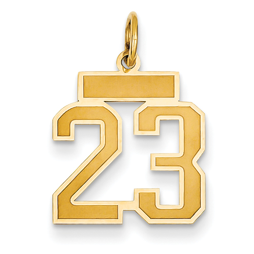 14k Small Satin Number 23 Charm