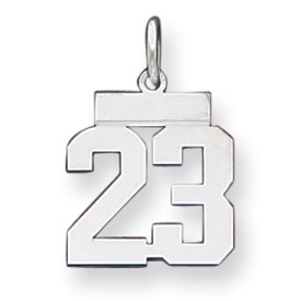 Sterling Silver Small Polished Pendant Number 23