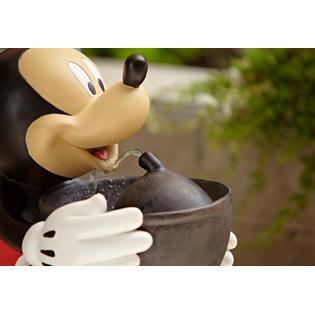 mickey water
