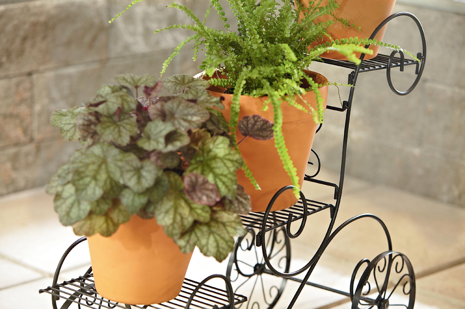 Essential Garden 3 Tier Plant Stand* Limited Availability - Outdoor