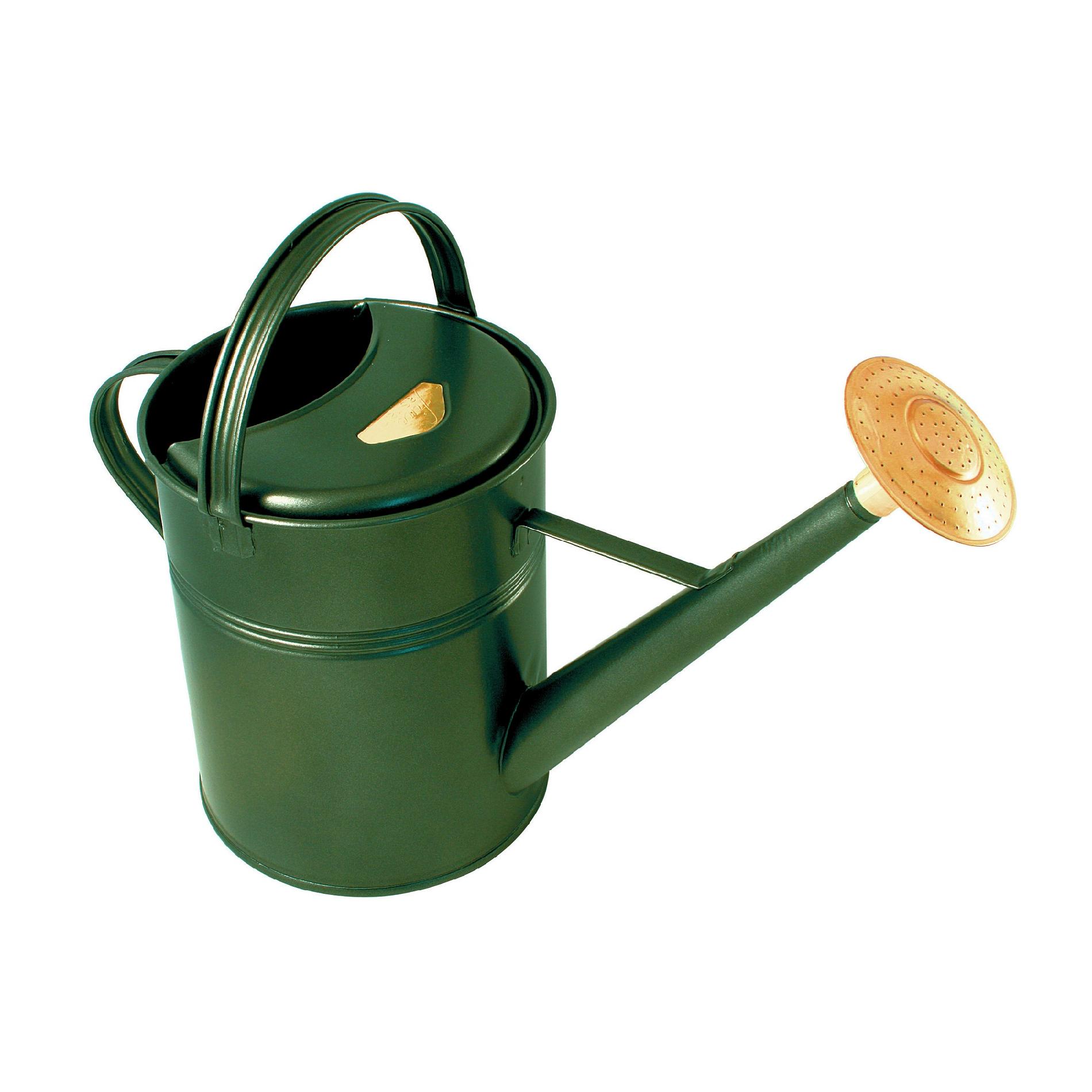2.3 gallon Green Traditional Watering Can