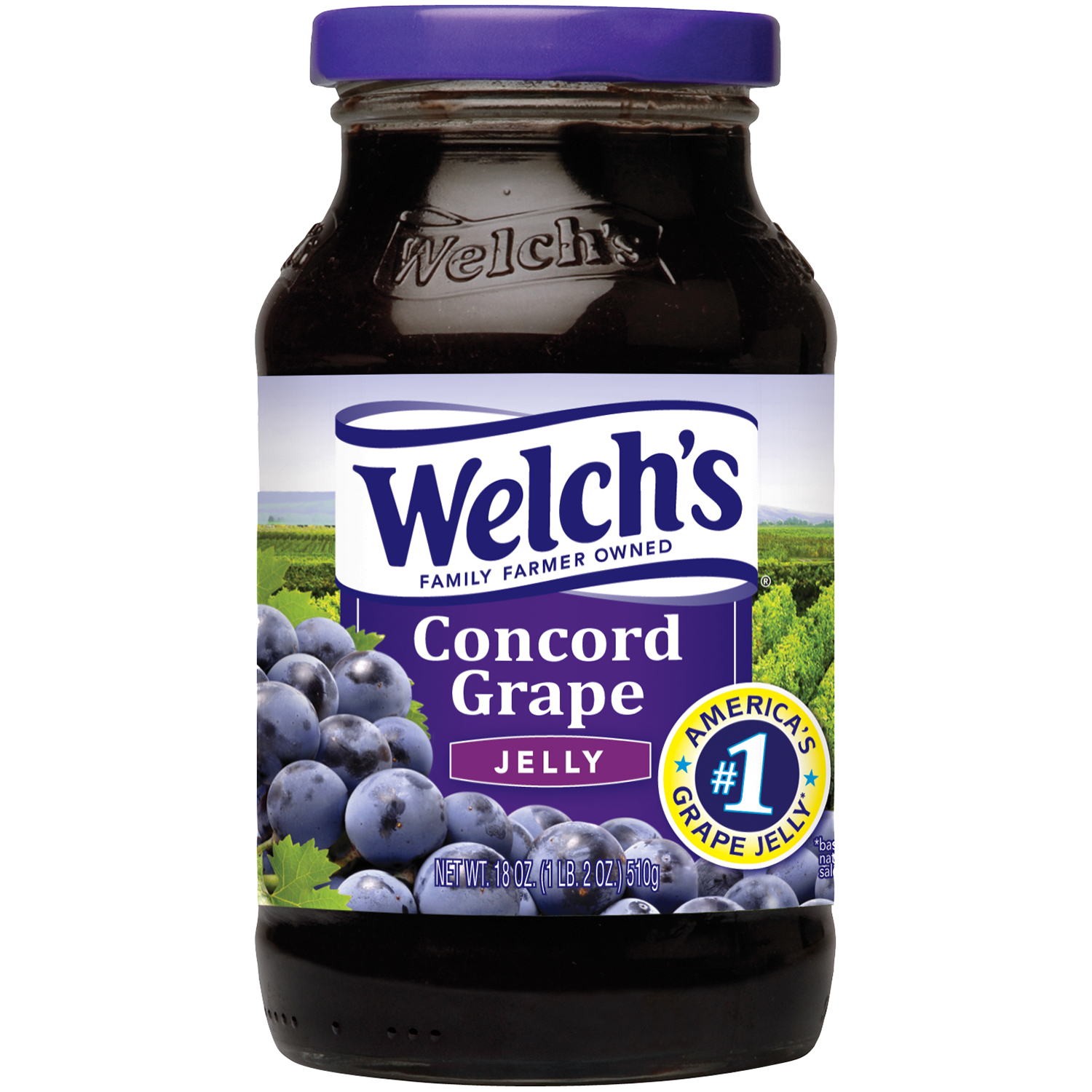 upc-041800000432-welch-s-concord-grape-jelly-18-oz-jar-upcitemdb