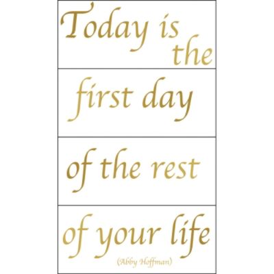 Blue Mountain Today Is the First Day of the Rest of Your Life 4 Sheets 8.56 In. x 19.875 In. at Kmart.com