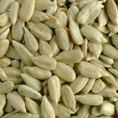 UPC 026938002886 product image for Seeds Hulled Sunflower Seed (1x50LB ) | upcitemdb.com