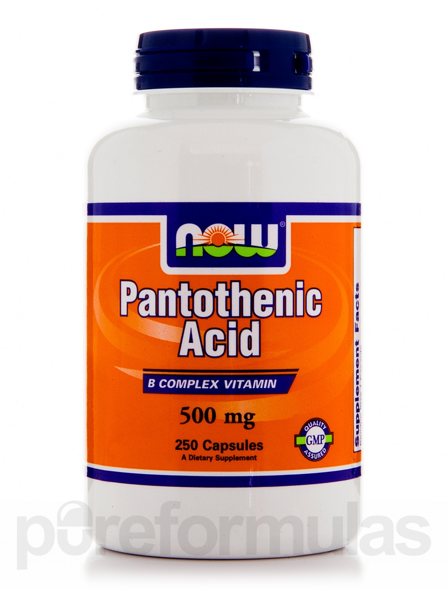 UPC 733739004888 product image for Now Foods Pantothenic Acid 500mg 250 Capsules | upcitemdb.com