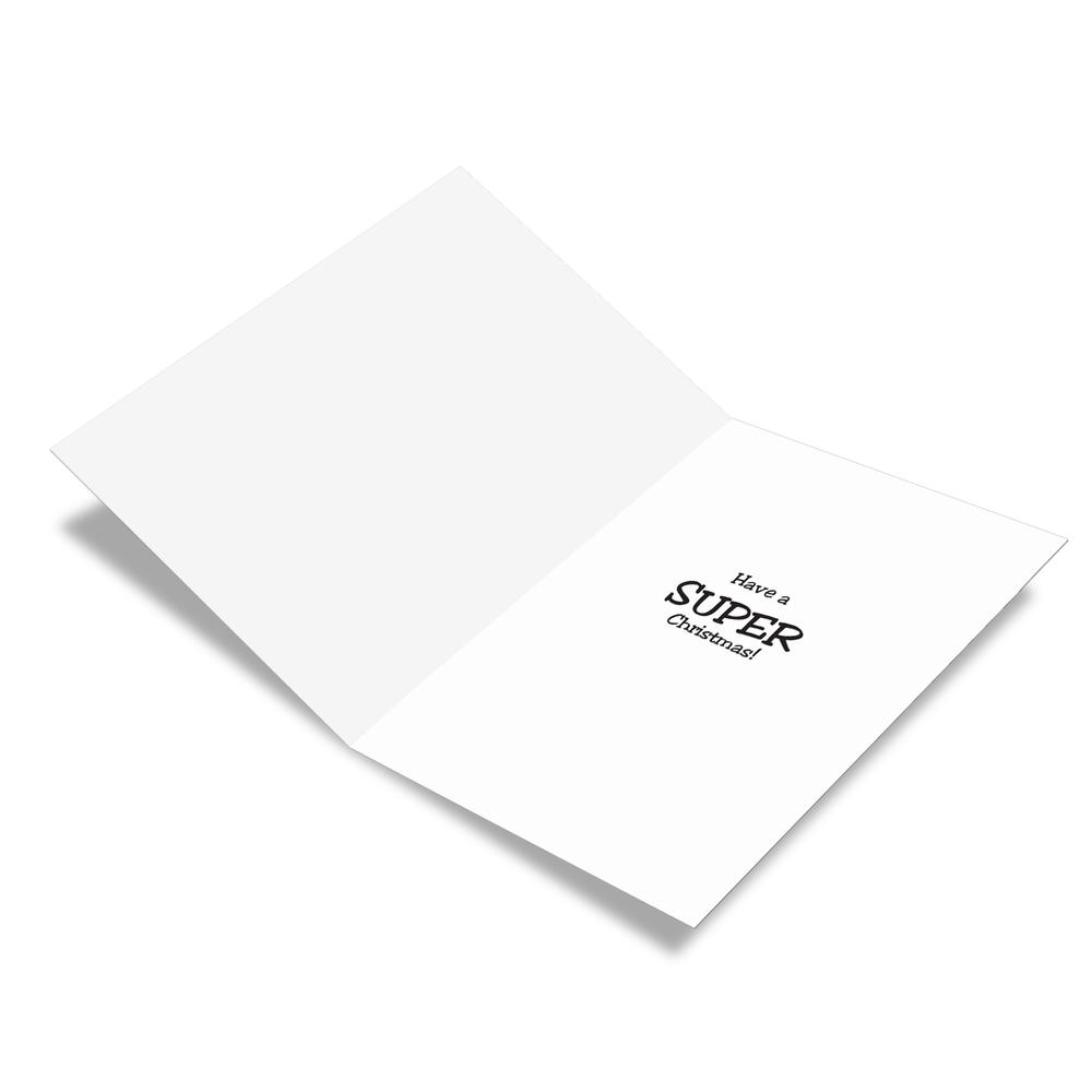 NobleWorks B1401 Box Set Of 12 Accountant Underwear Christmas Joke Cards 
