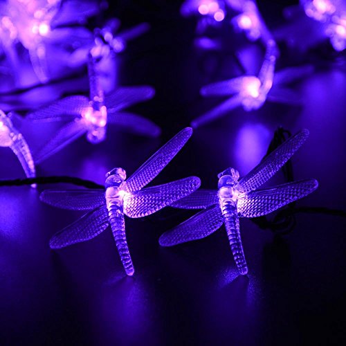 qedertek string solar lights dragonfly fairy lights 197ft 30 led outdoor decorative lightspurple - Outdoor Decorative Lights qedertek string solar lights dragonfly fairy lights 197ft 30 led outdoor decorative lightspurple - Outdoor Decorative Lights