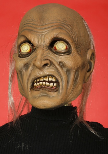 Forum New Scary Zombie Haunted House Halloween Costume Mask at Sears.com