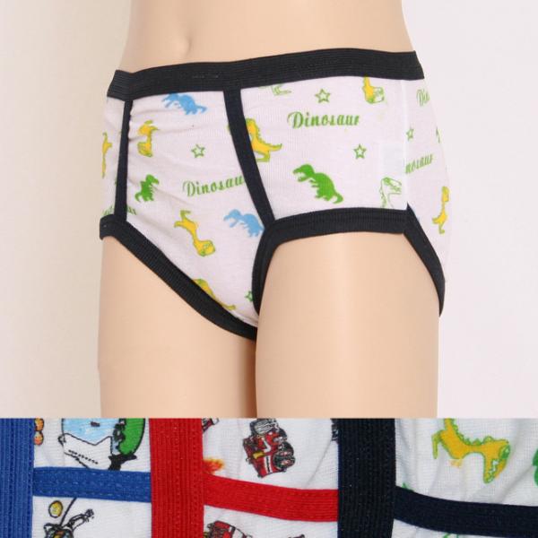 Ddi WholesaleSwan Boy's Briefs(Pack of 72) at Sears.com
