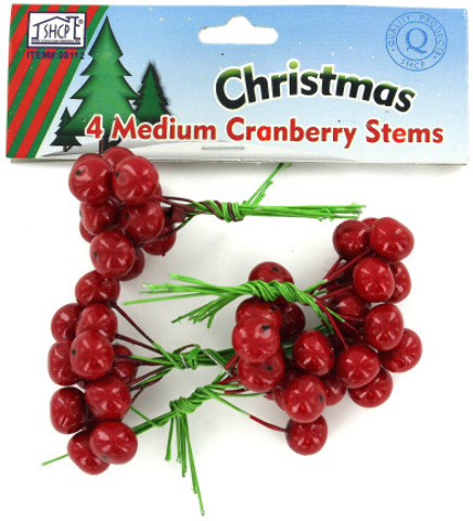 Ddi Wholesale4Ct Med Berry Stems(Pack of 24) at Sears.com