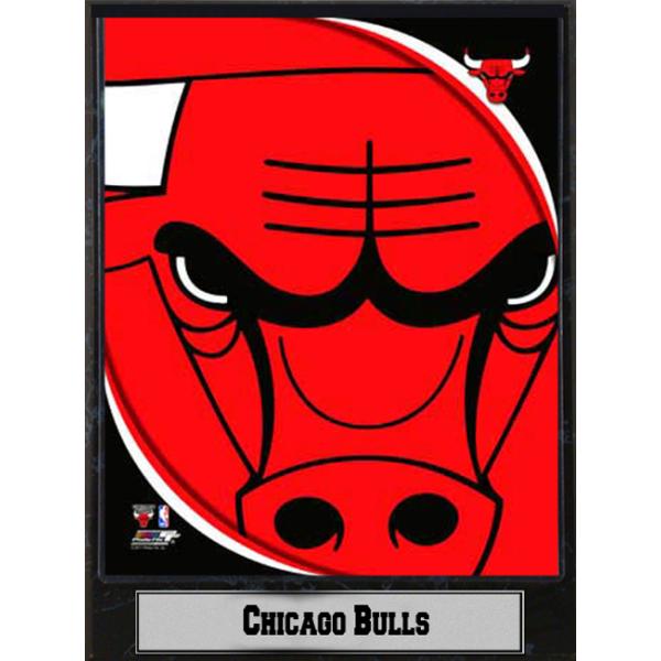 Ddi NBA Plaque- 2011 Chicago Bulls Logo(Pack of 14) at Sears.com