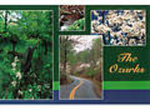 Ddi Ozarks Postcard 13037 Ozark 4 View(Pack of 750) at Sears.com