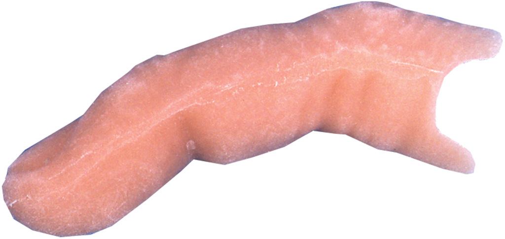 WMU Vernet Sixth Finger(Pack of 2) at Sears.com