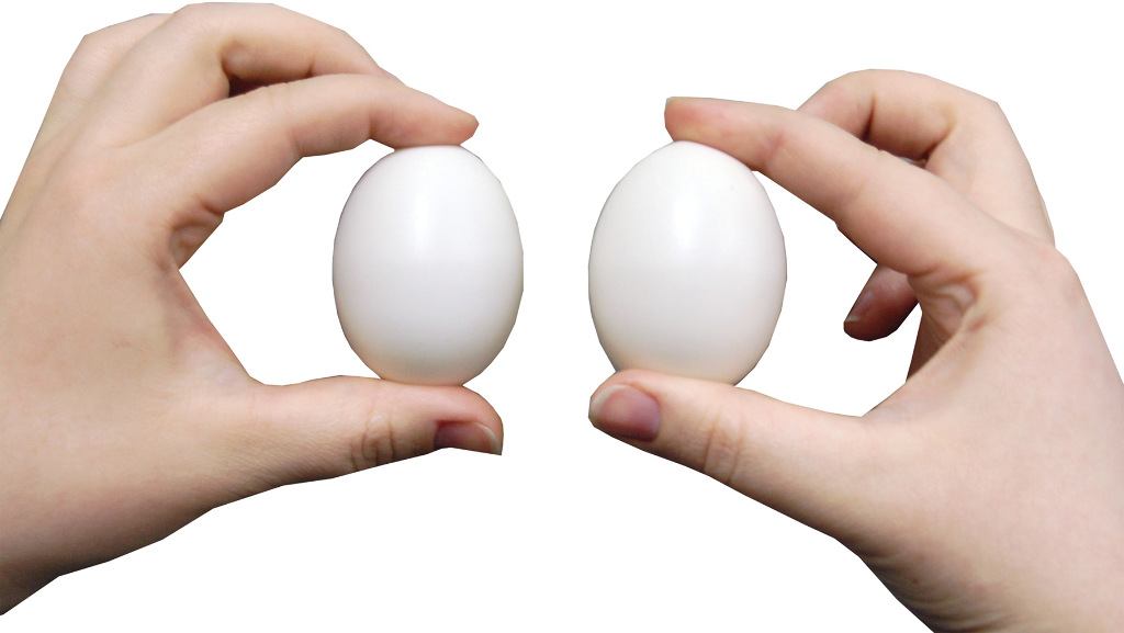 WMU Eggs Plastic 2 White(Pack of 3) at Sears.com