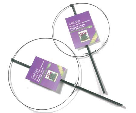LusterLeaf Peony Ring Sgl 14X24"(Pack of 36) at Sears.com