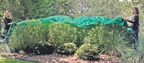 Planket Landscape 10 foot Round Frost Protector 10120 at Sears.com
