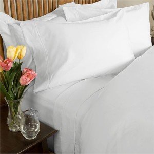 sheetsnthings Percale Queen size 300 Thread Count Solid White Sheet Set 100 % Egyptian Cotton (Deep Pocket)Percale Sheets at Sears.com