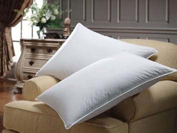 sheetsnthings Set of 2 Down Alternative Pillows, King Size, 300 Thread Count Cover 100% Egyptian Cotton, Allergy Free at Sears.com