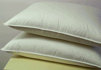 sheetsnthings Down Alternative Pillow, King Size, 300 Thread Count Cover 100% Egyptian Cotton, Allergy Free at Sears.com