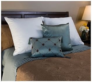 sheetsnthings Set of 2 Square Euro Pillows 26x26", Down Alternative 400 Thread Count Cover 100% Egyptian Cotton, Allergy Free at Sears.com