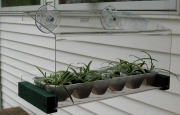 Looker Wfgreenhousefeeder Bird Feeder Greenhouse