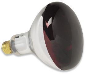 Durvet Pet Supreme Lighting Heat Lamp Bulb Red 250 Watt Pack Of 12 - 03064/6-01339 at Sears.com