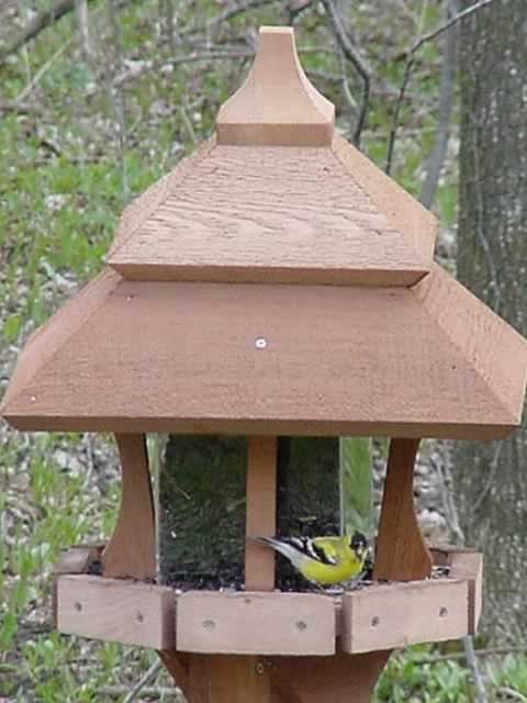 Looker Century 51/2 X 151/2 X 17 Cedar Bird Feeder