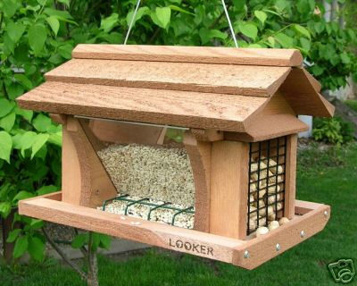 Looker 14 Inch Feeder With Suet Feeder Bird/special