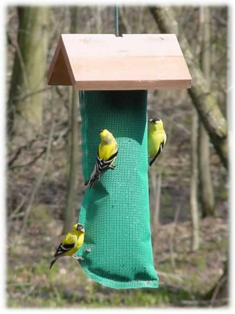 Looker Goldfinch Thistle Bag Roof Feeder