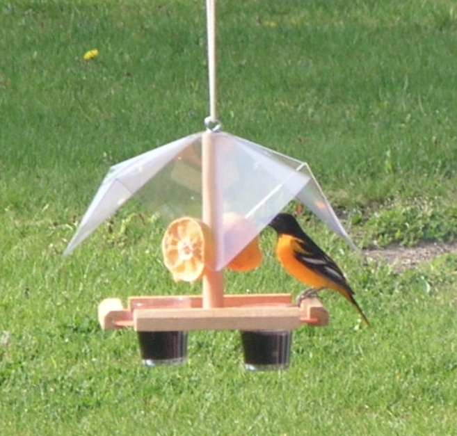 Looker Oriole Buffet 12 X 31/2 X 11 Bird Feeder