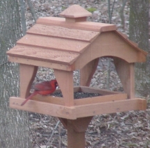 Looker Pavilion 7 X 13 Cedar Bird Feeder