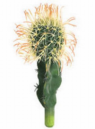 Allstate Db4791 7.5 In. Bird Nest Cactus Case Of 1