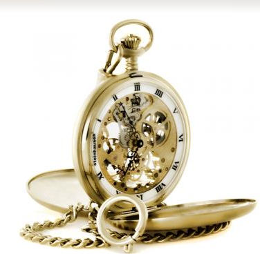 Steinhausen PG200G Tasche V Skeleton- Gold at Sears.com