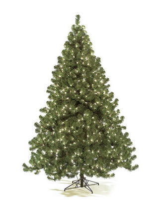 Autograph Foliages C-84701 7.5 ft. Virginia Pine Tree at Sears.com