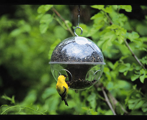 Duncraft Dc35001 Bird Feeder Clingawing