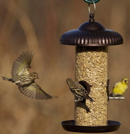 Hiatt Manufacturing Hiatt38196 Prairie Style Seed Tube Feeder