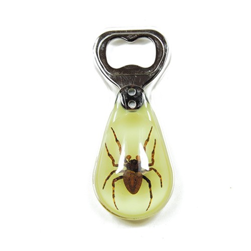 Ed Speldy East BO302 Real Bug Bottle Openers-Spider-Glow in the Dark at Sears.com