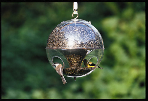Duncraft Super Cling  A  Wing Feeder