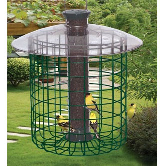 Droll Yankees 344480 12 In. Domed Cage Nyjer Feeder  Yellow
