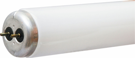 PHILIPS LIGHTING 392209 8 Watt Soft White Miniature Bi-Pin Fluorescent Light Bul - Case of 12 at Sears.com